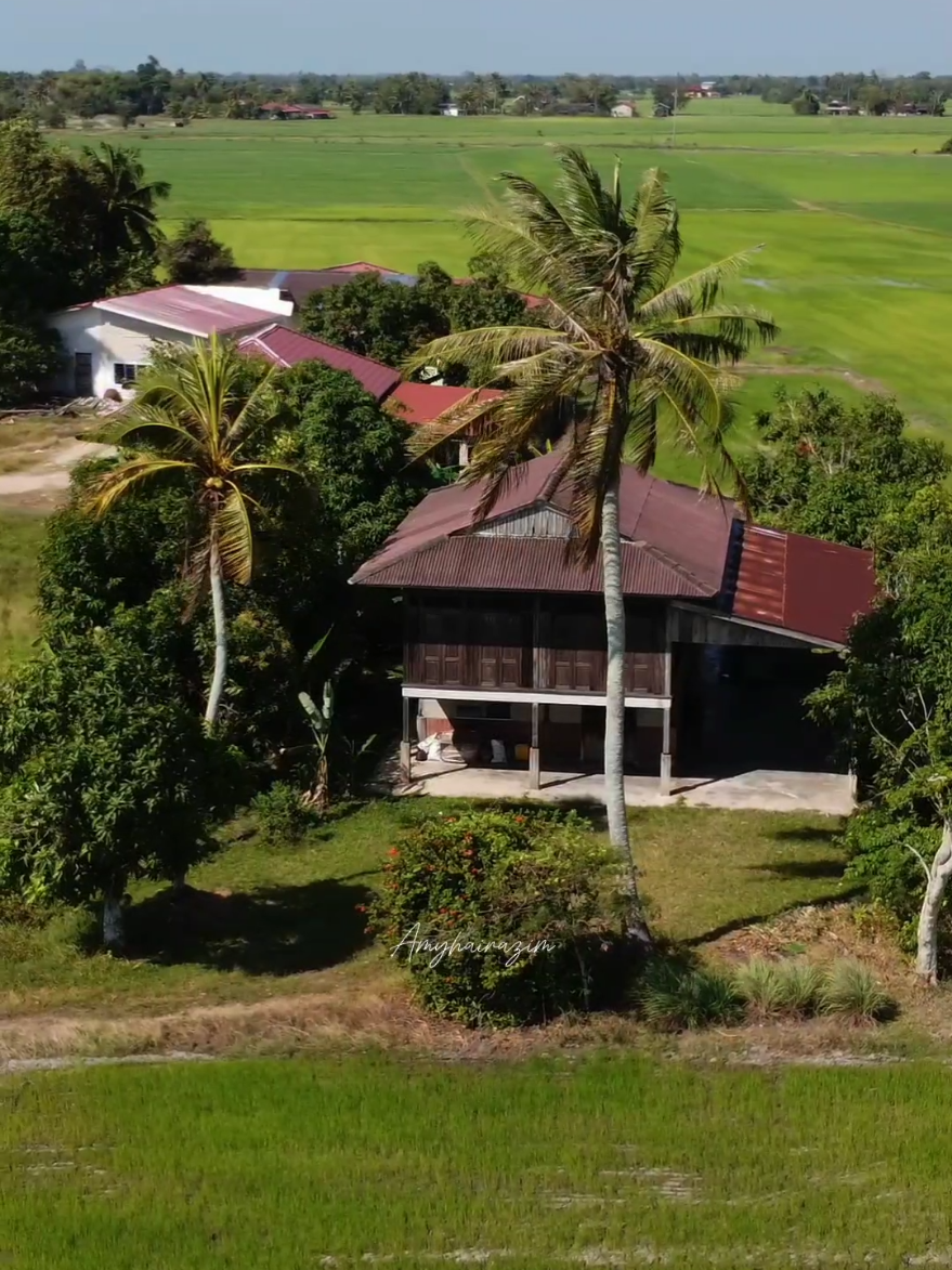 Suasana kampung di pendang 🎥 Nanti pakat balik kampung mana yg rindu kampung 😊 #videobyamyhairazim  #pendangkedah #tahunmelawatkedah2025 