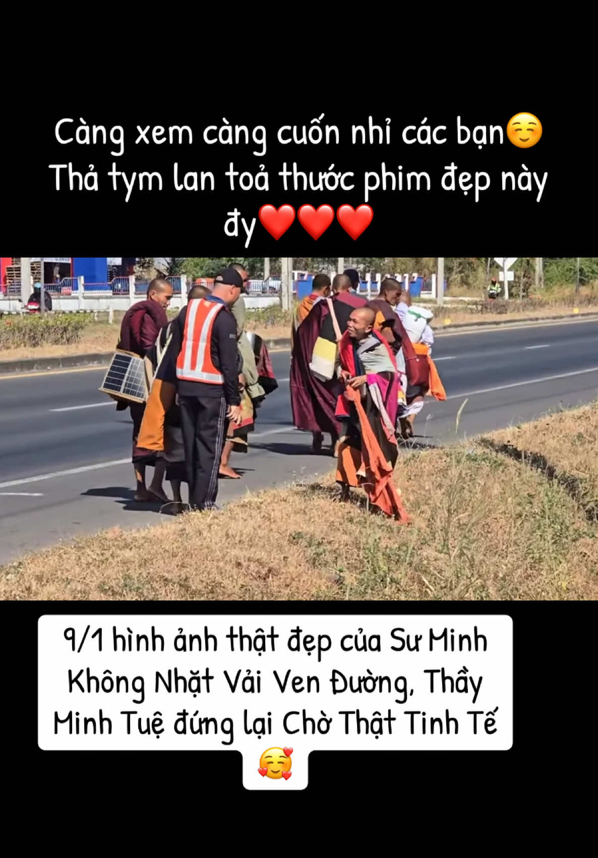 9/1 hình ảnh thật đẹp của Sư Minh Không Nhặt Vải Ven Đường, Thầy Minh Tuệ đứng lại Chờ Thật Tinh Tế🥰#longkadaily #thayminhtuemoinhat #thayminhtue #suminhtuemoinhat #thichminhtue #minhtang #suminhtue 