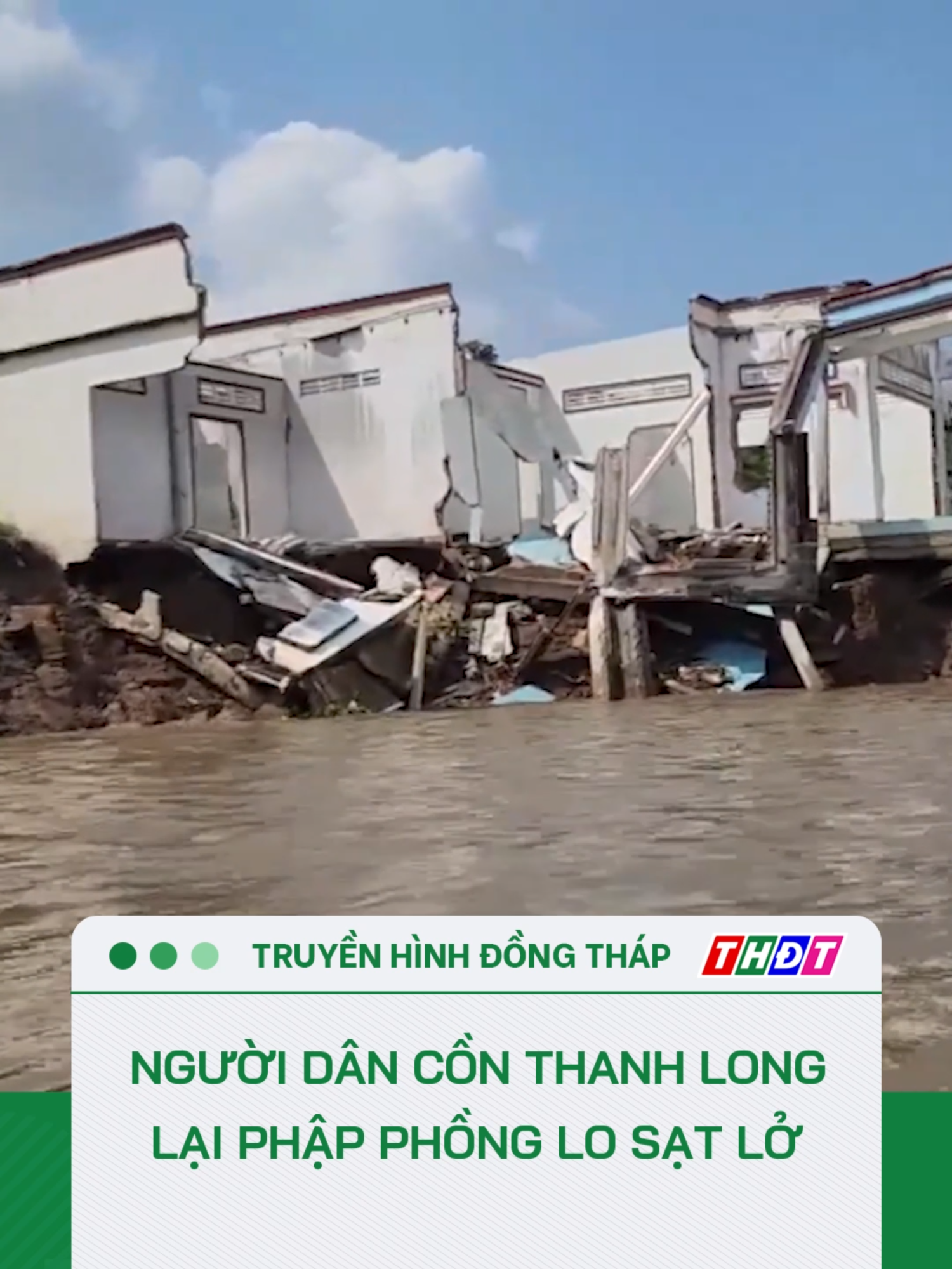 Vĩnh Long: Người dân cồn Thanh Long lại phập phồng lo sạt lở #tiktokthdt #truyenhinhdongthap #dongthaptv #thdt #mcv #tiktoknews #dongthap