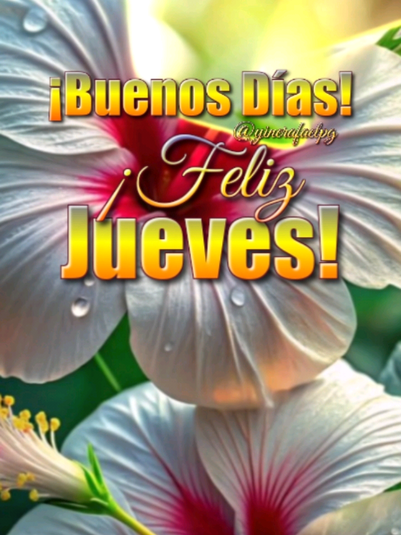 Buenos días! Feliz Jueves! #frases #bonitas #parati #dios #bendiciones #felizdia #fyp #buenosdias