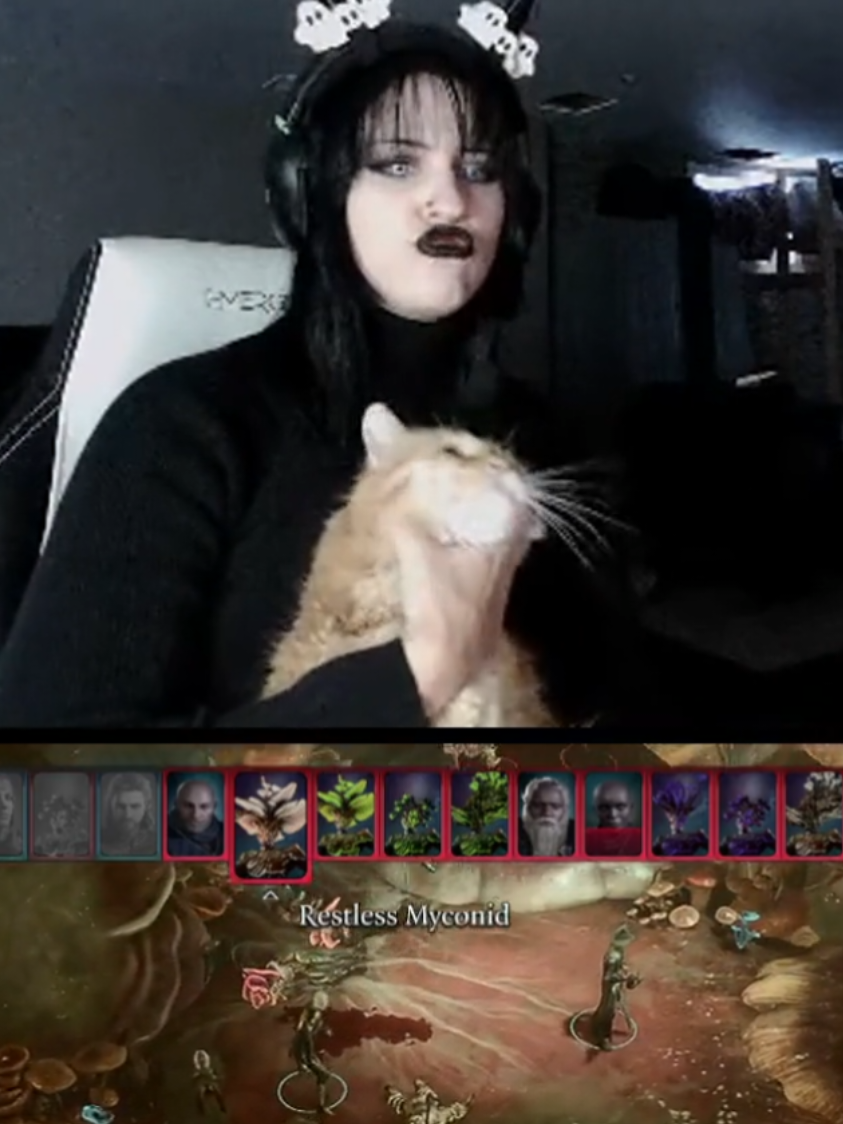 #cat #twitchstreamer #bg3 