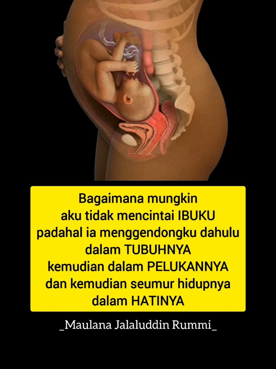 Ibumu ...ibumu....ibumu.... Jadikan dirimu sebagai pengabdi untuk ibumu, juga sebagai teman yang menemani kehidupannya.  Ibu adalah wanita terindah yg pernah ada, wanita yg memiliki rasa cinta paling tulus dan kekhawatiran paling besar untuk anaknya. ______ #ayah #ibu #hariibu #motherday #anak #baby #mom #parenting #parentinganak #cinta #hariibu #nikah  #allah #pernikahan #animasi #motivation #istri #sinaubareng #islamicquotes  #suami #pathdaily#pathdailyqoute#reels#maiyah#reelsinstagram#reelsquotes#reelsviral#fyp#foryourpage