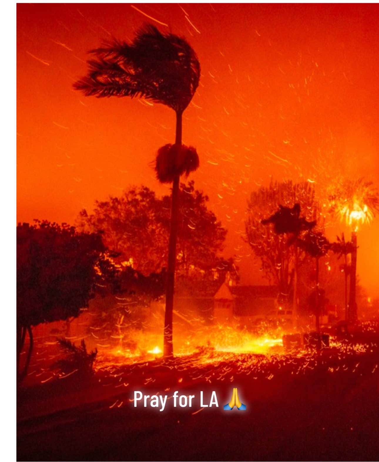 Was woken up by the smell of smoke and met with this absolutely apocalyptic view from our balcony this morning. The level of devastation is unimaginable. Please pray for all those affected by the LA fires and help however you can. #LAFires #Palisadesfire #Eatonfire #Sunsetfire #LA 🙏 