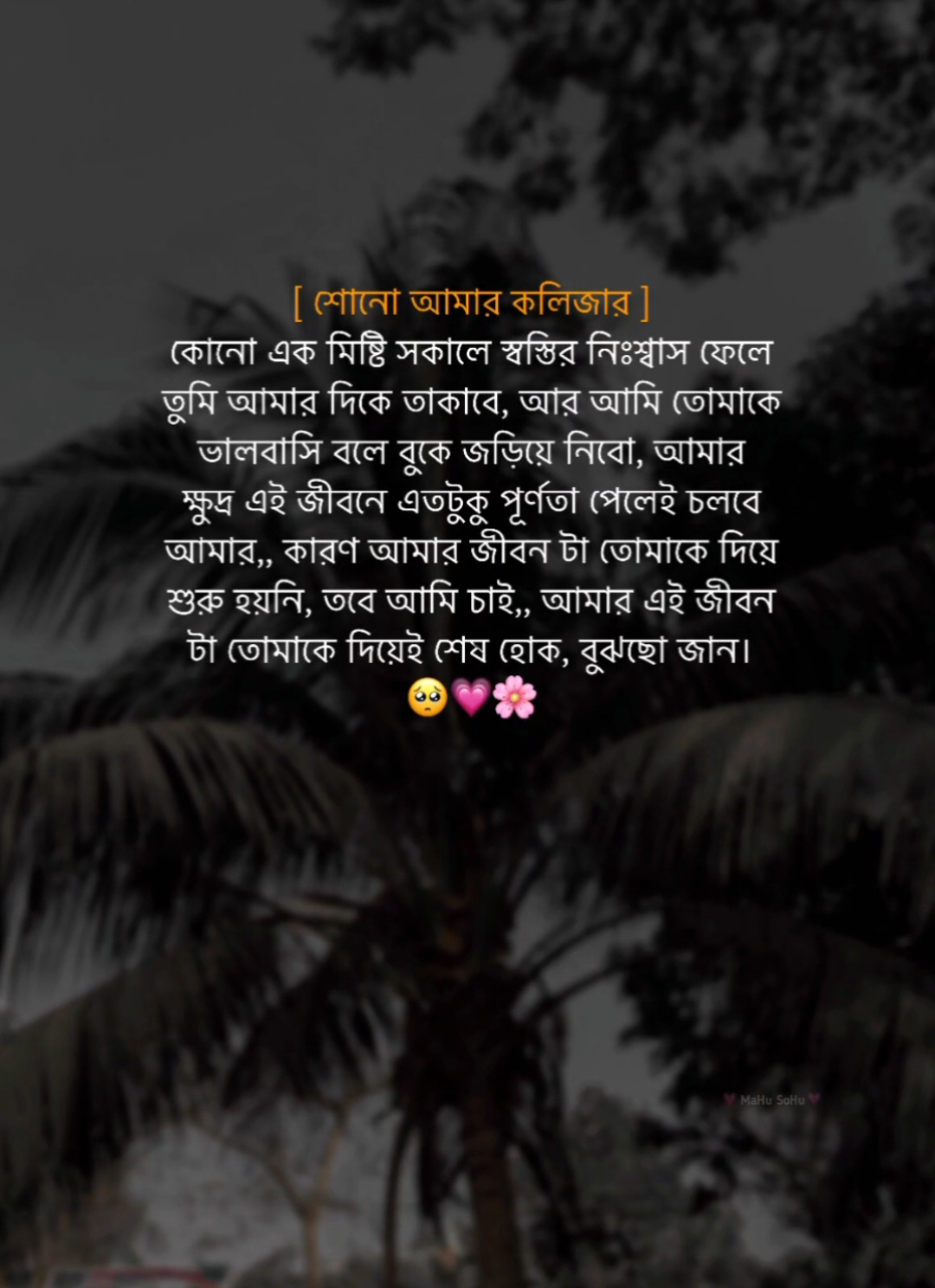 শোনো আমার কলিজার ....! কোনো এক মিষ্টি সকালে স্বস্তির নিঃশ্বাস ফেলে তুমি আমার দিকে তাকাবে, আর আমি তোমাকে ভালবাসি বলে বুকে জড়িয়ে নিবো, আমার ক্ষুদ্র এই জীবনে এতটুকু পূর্ণতা পেলেই চলবে আমার,, কারণ আমার জীবন টা তোমাকে দিয়ে শুরু হয়নি, তবে আমি চাই,, আমার এই জীবন টা তোমাকে দিয়েই শেষ হোক, বুঝছো জান!... 💗🥺🌸 #foryou #foryoupage #fyb #status #caption #writer #mahu_sohu #viral #bdthiktok 