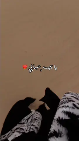 يا لابسه ﮼هبهابي ❤️‍🔥#هاء👸🏻🖤 #ليبيا🇱🇾 