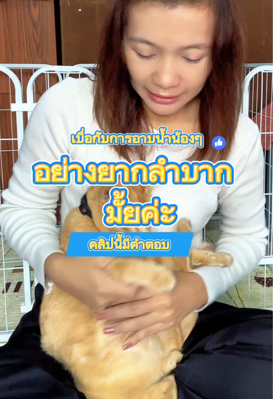 โฟมอาบน้ำแห้งสัตว์เลี้ยง ไม่ต้องล้างออก แค่เช็ด แห้งไว กลิ่นหอม สูตรอ่อนโยน #โฟมอาบน้ําแห้งสัตว์เลี้ยง #โฟมอาบน้ําแห้ง #โฟมอาบน้ําแห้งแมว #ใช้เองรีวิวเอง #ของมันต้องมี #รีบกดก่อนหมดโปรจ้า🔥🔥 #TikTokShop #บ้านหนูเพลง 