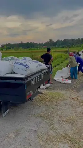 #l300modifikasi  #eltitusi_indonesia  #fypシ゚viral  #gabahbalap🌾 
