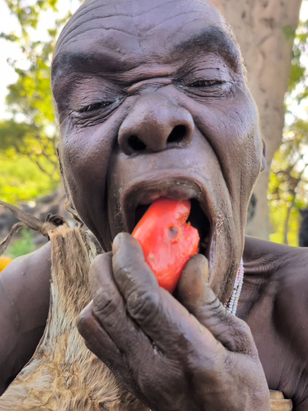 Amazing Fruit 🍎😋😲See Oldman hadza enjoying breakfast, So Sweet nutrition food😋#hadzabetribe #Africa #Culture 