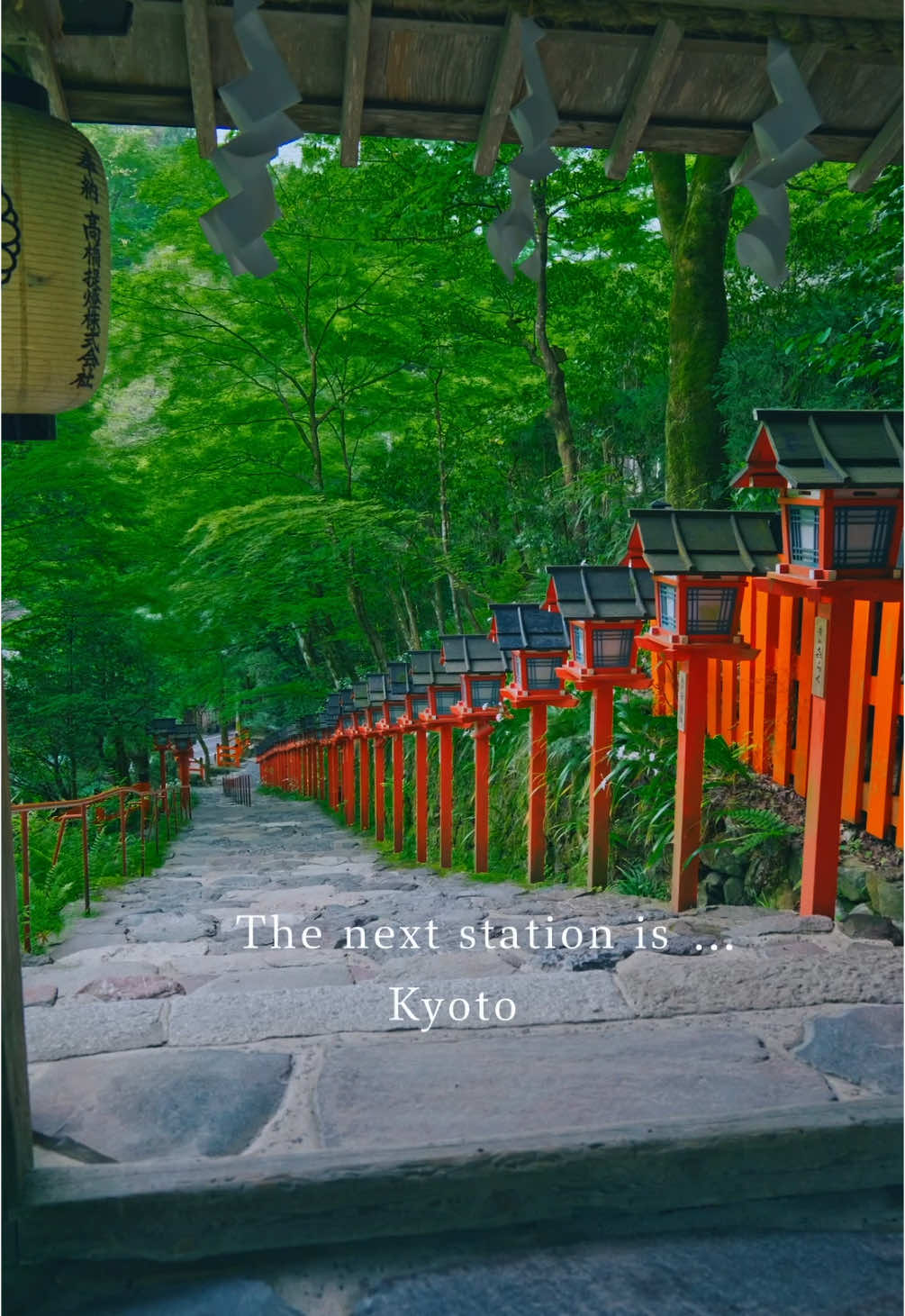 京都の美しい場所🚶The next station is …Kyoto⛩️🚃 京都で行ってみたい場所はどこですか？ Where would you like to visit in Kyoto? Would you like to walk through the beautiful cityscape of Kyoto at night? 📍京都/ 🇯🇵Kyoto Prefecture  🎥Reel→ @reo___films  #祇園 #京都  #kyoto 