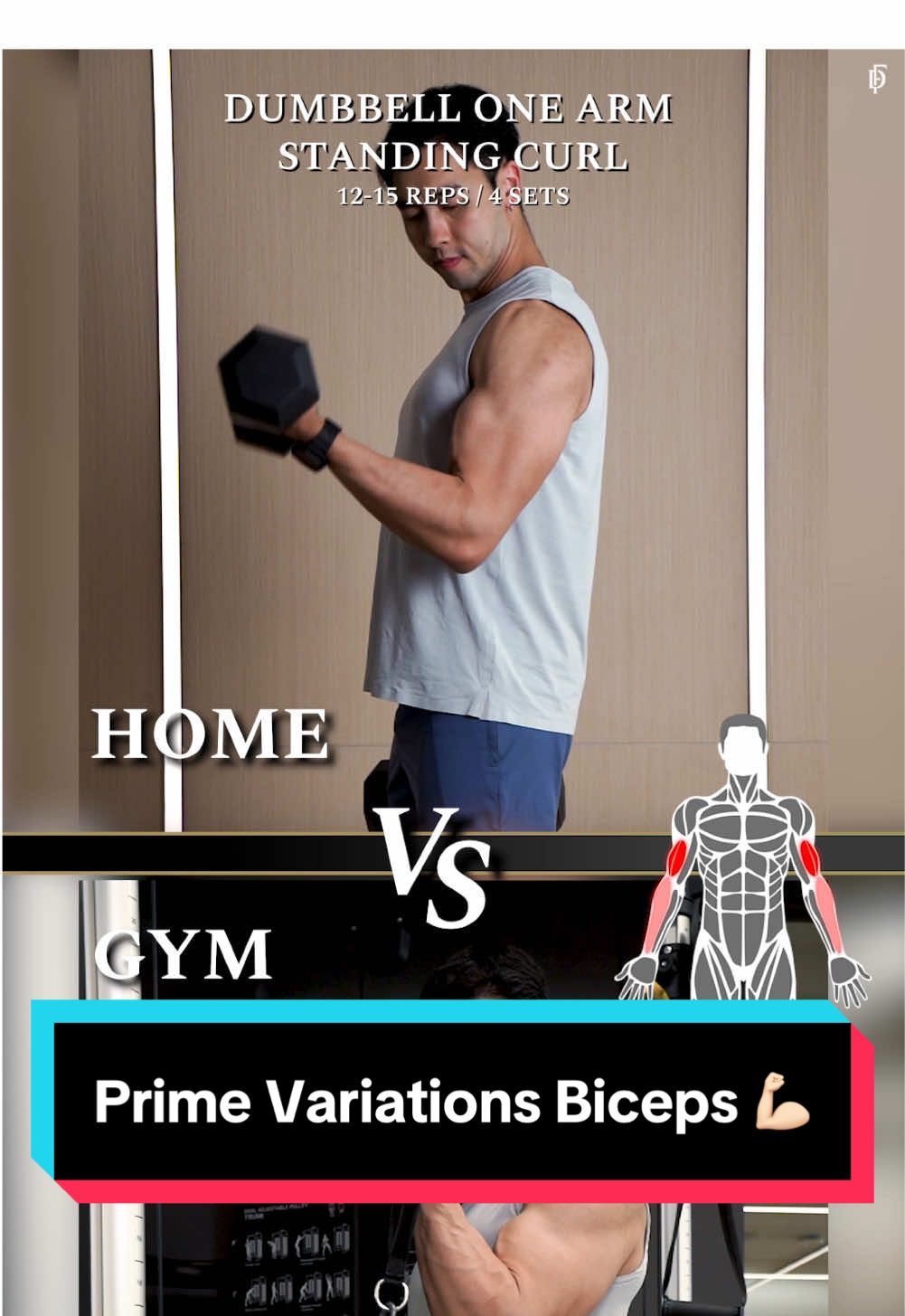 Prime Variations Biceps 💪🏻 💡 Biceps Training Tips  1️⃣ Barbell Curls (Gym)        Dumbbell Curls (Home) 2️⃣ Cable One Arm Standing Curl (Gym)        Dumbbell One Arm Standing Curl (Home) 3️⃣ Cable Hammer Curl  (Gym)        Dumbbell Hammer Curl (Home) ✅ Reps: 12-15 reps ✅ Sets: 4 sets เปิดประสบการณ์เหนือระดับและเพิ่มศักยภาพการออกกำลังกาย เพื่อตอบโจทย์การออกกำลังกายของคุณให้ดียิ่งขึ้นกับ FIT DESIGN PRIME พร้อมพื้นที่เลานจ์สำหรับพักผ่อน และสิ่งอำนวยความสะดวกครบครัน  สนใจเยี่ยมชมสถานที่และนัดทดลองเทรน 1-1  LINE: @fitdesignfitness  หรือคลิ๊กที่ลิ้งค์นี้ https://lin.ee/fKaZw9e https://fitdesignprime.com/ Tel: 02-126-0663 📍โครงการ 33 Space ซอย ประดิพัทธ์17