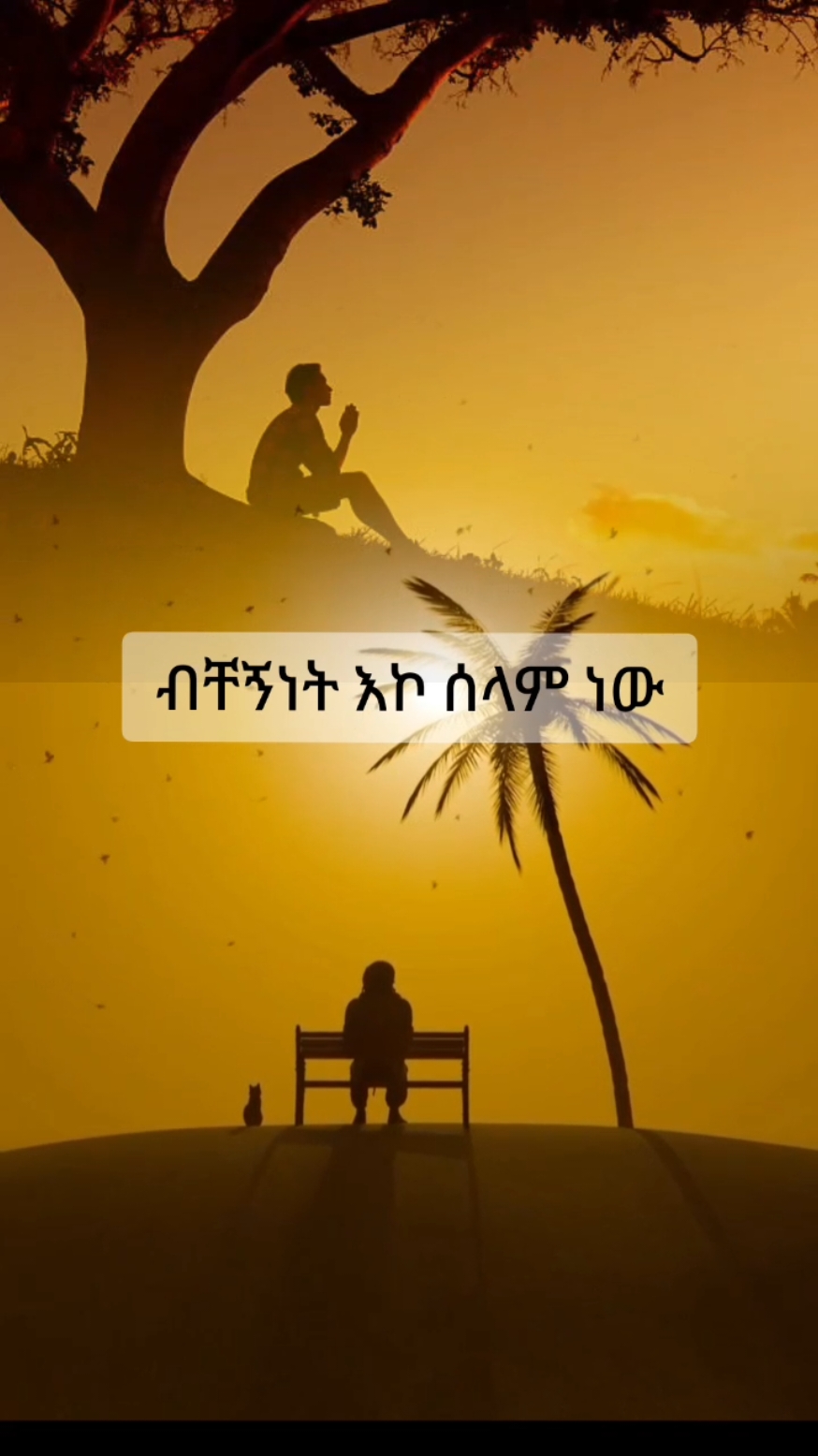 #creatorsearchinsights #ethiopian_tik_tok #viral_video #foryoupage❤️❤️ #ፍቅር💓ብቻ🥀🦋🥀🕊️🔐 #loveyou #fyp #habeshatiktok 