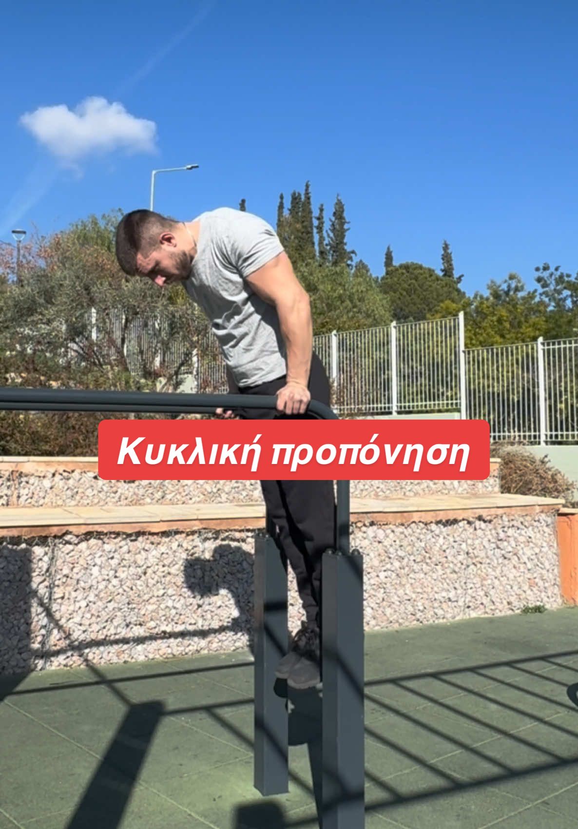 Κυκλική προπόνηση στην Καλισθενική! #calisthenics #fyp #καλισθενικη #fy #streetworkout #mpesfypgamw #workout #bodyworkout #tutorial #bodybuilding #Fitness #gymnastic #motivation #circleworkout #dips #pullup #pushups #greece #tiktokgreece #ελλαδα #CapCut 