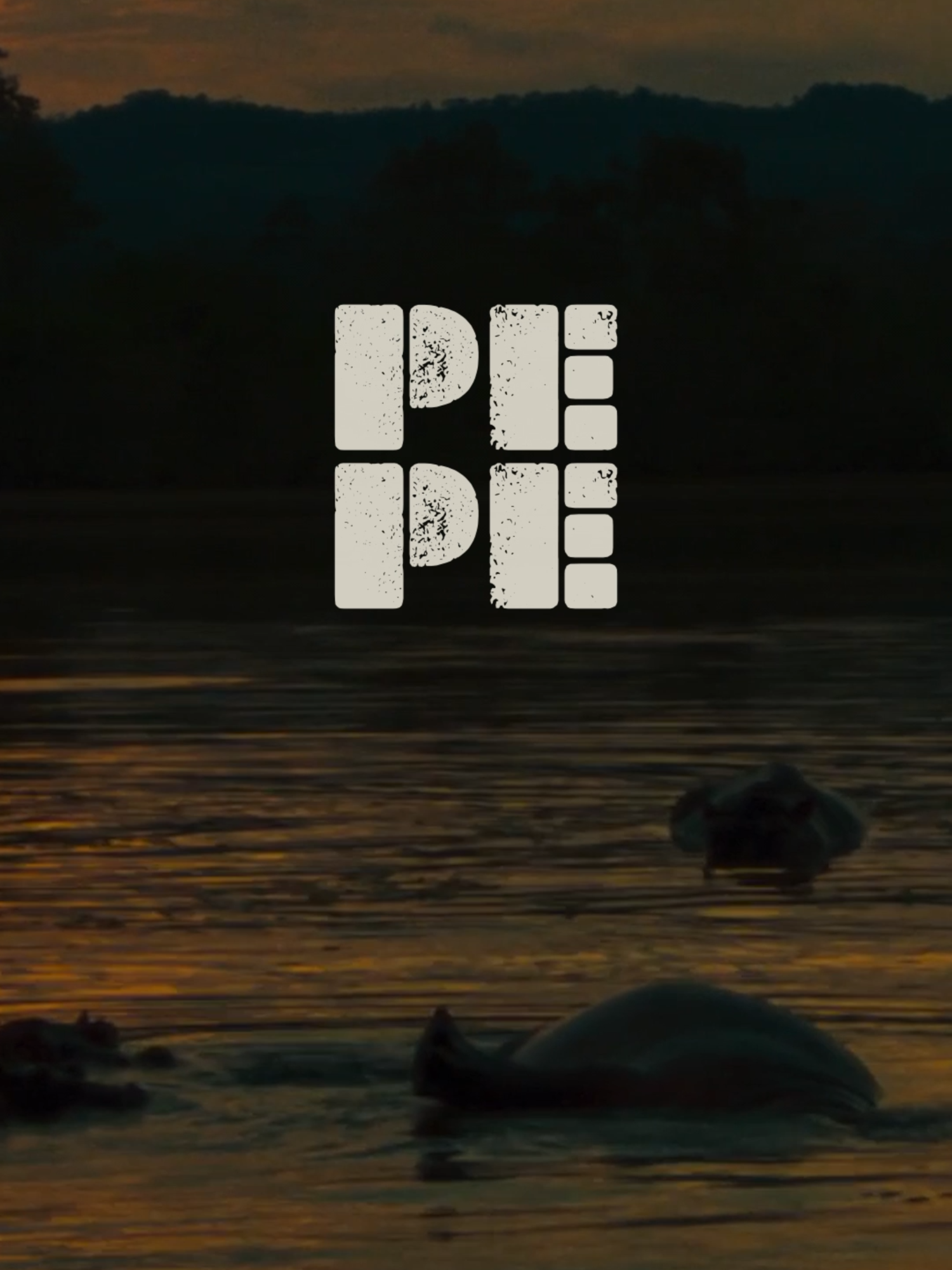 Inspired by Pablo Escobar’s menagerie of wildlife, PEPE is the story of the first and only hippopotamus ever killed in the Americas. Now streaming (almost) globally.