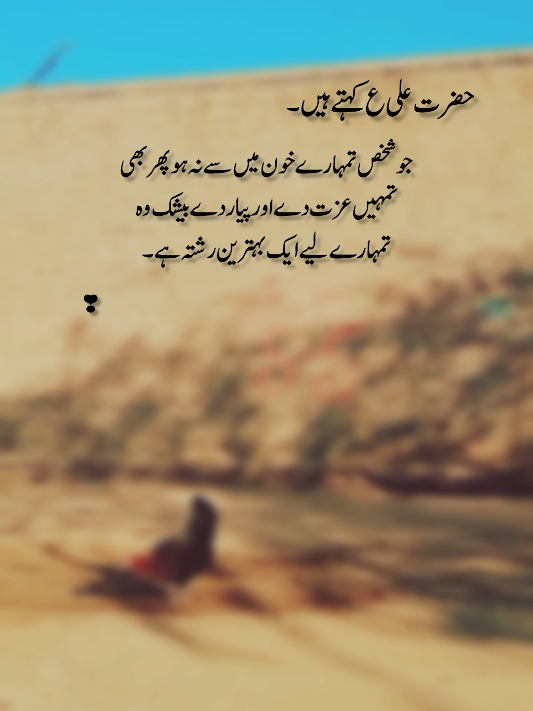 ❣️❣️#fypviralシ #sadlines💔 #growmyaccount #urdupoetry🥀 #foryou🙌🏻👀 #fyppppppppppppppppppppppp #viewsproblem #hazrataliquotes 