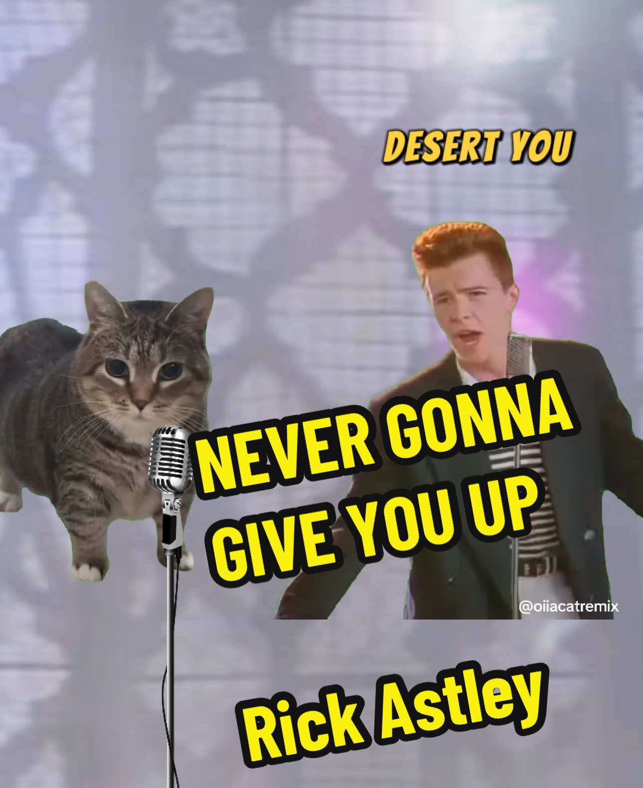 never gonna U I A 😔💔 | OIIA Cat x Never Gonna Give You Up @Rick Astley #rickastley #rickroll #rickrolled #brainrot #oiiaiiooiiai #fyp 