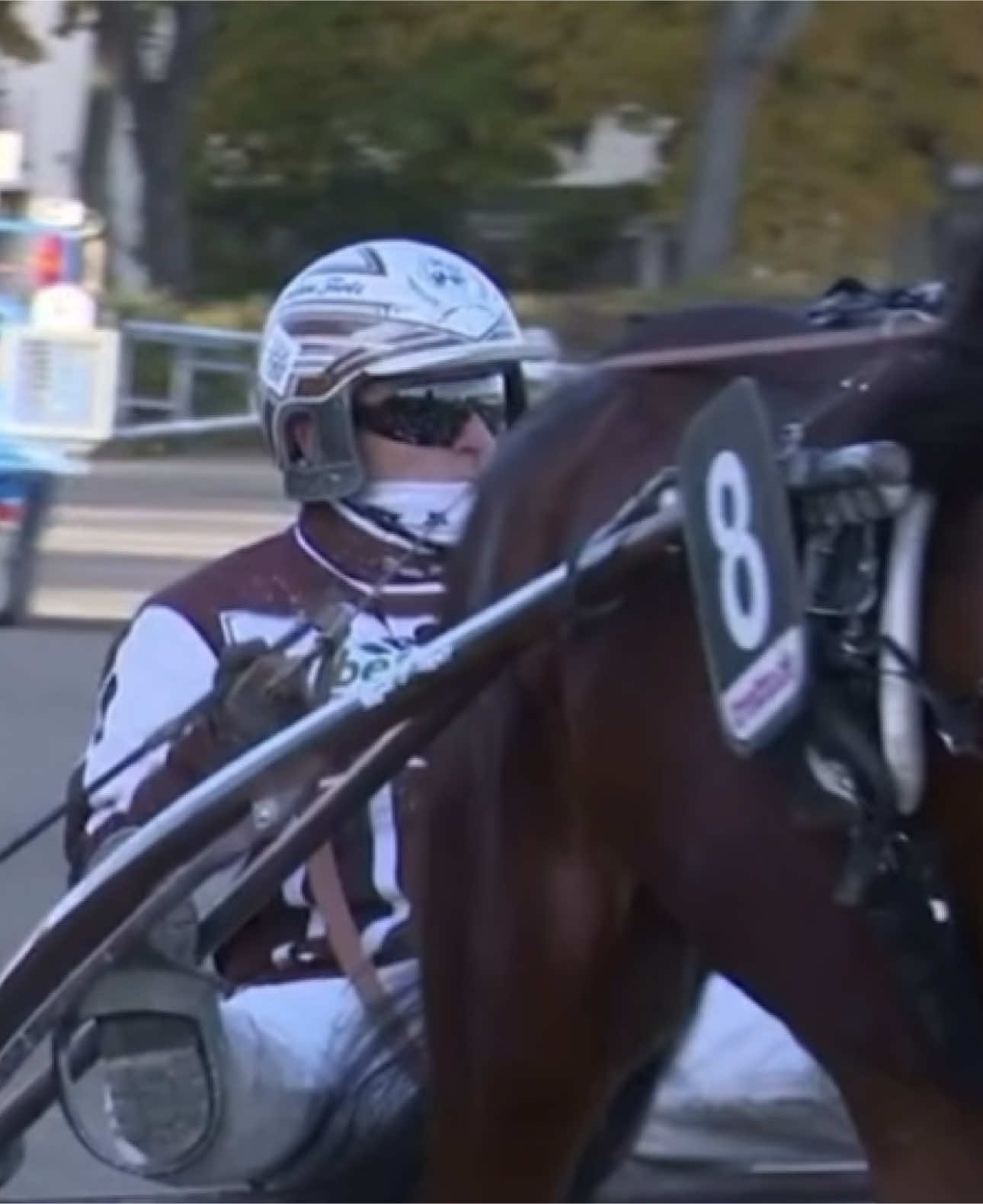 #trotting #thorstentietz #trab #horse #catchdriver #fast #strange #horsesontiktok #horselover #passion #fyp #fürdich #viralvideos #racetrack #racehorses 