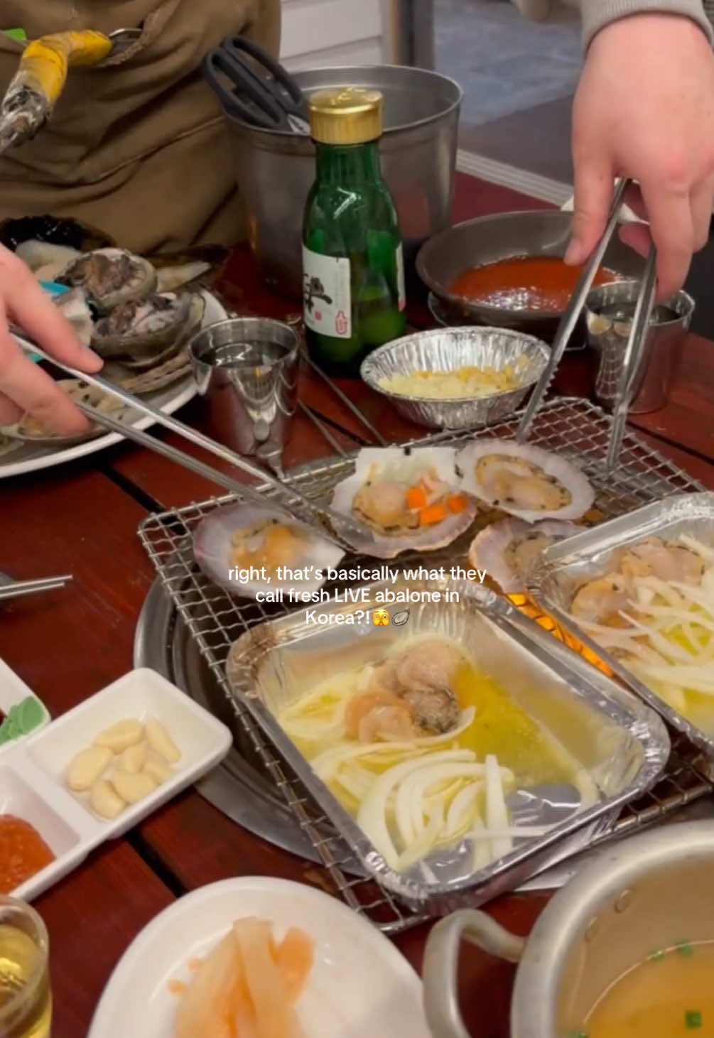 When I say fresh abalones, I mean they are still ALIVEEE and MOVING!🦪Absolutely delishh😮‍💨🤤💯Freshly grilled seafood with a sea view of Haeundae Beach!🌊 #seafood #abalone #fresh #sgfoodie #sgfoodies #korea #busan #food #koreatravel #grilled #freshseafood 