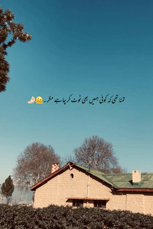 ہم خود ہی ٹوٹ گئے کسی کو چاہتے چاہتے ۔💔🫠 #foryoupage #foryou #viralvideo #growmyaccount #aestheticvideos #aesthetic #poetry #urdupoetry #statusvideo #hehe_daniii #fyp 