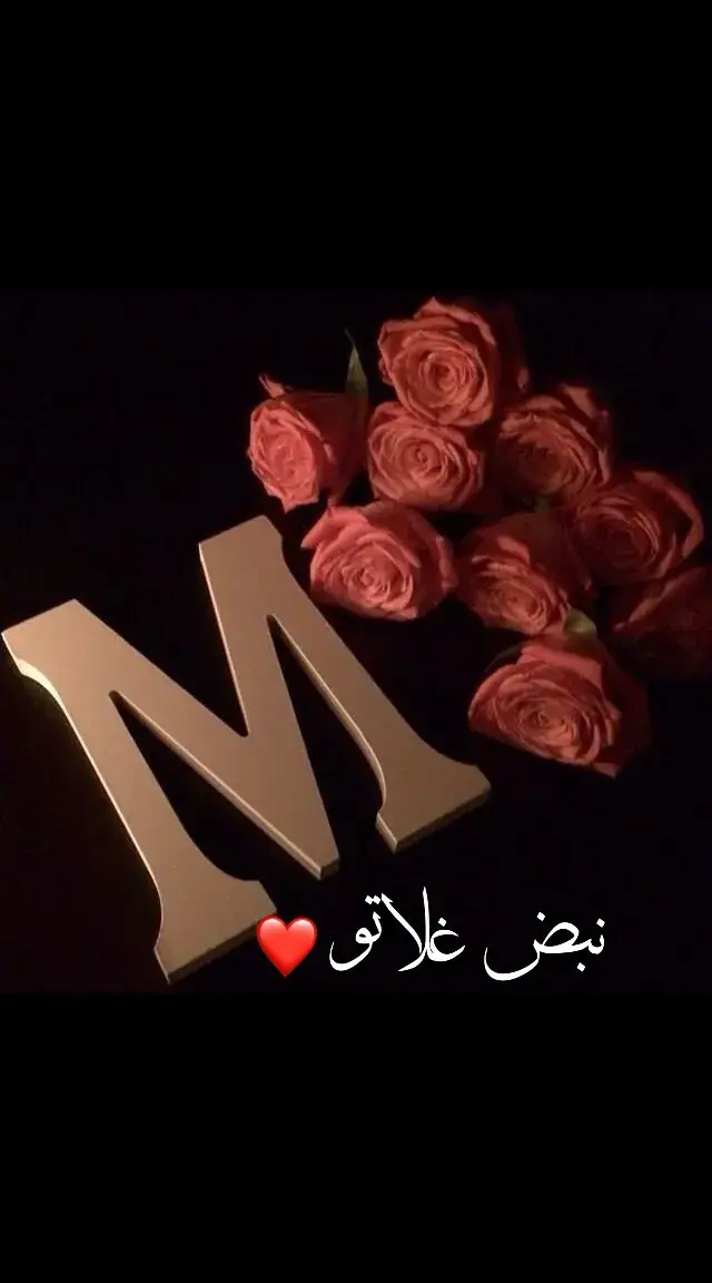 #ناري_جعل_ما_تنطفي_ناري 🥰🫂#الله_يجمعني_فيك_يا_نبض_قلبي #اشتقتلك #حبيبي❤️ #نبض_غلاتو #غيابك_كسرني💔🥺 #اكسبلور #كلس