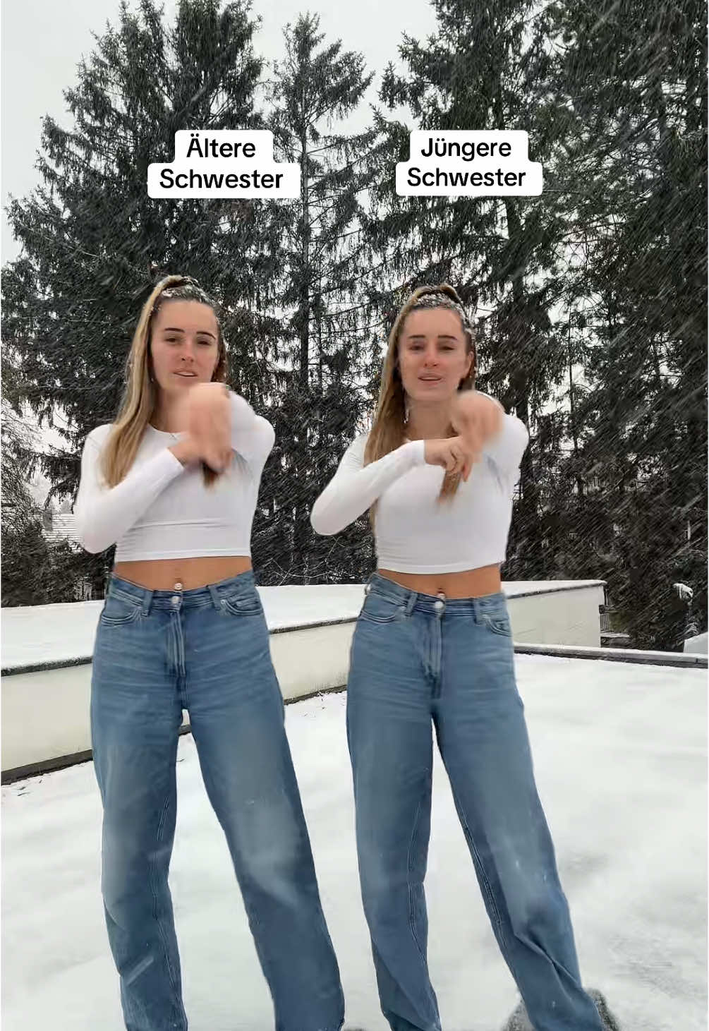 Bei wem schneit es auch gerade so doll? 😍 #zwillinge #foryou #fürdich #twins #dance #trend #schnee 