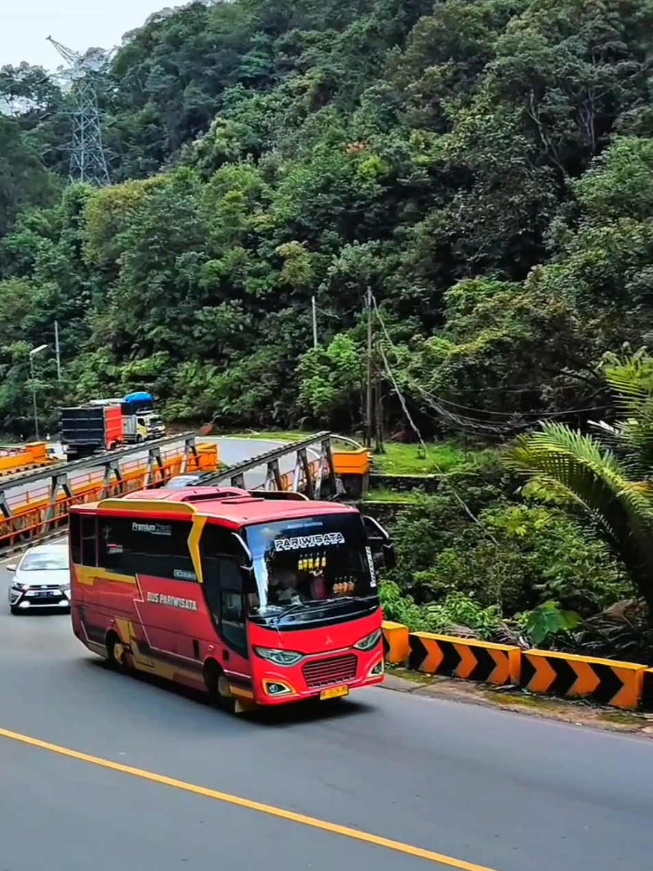 Bus Pariwisata medium di jembatan kembar kelok 9 #buspariwisata #kelok9 