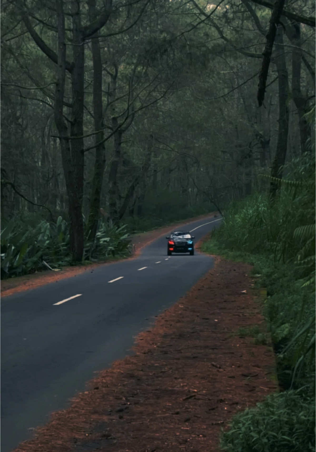 🌿🌿🌿 @Jason style ⚔️🥷 #cinematic #standart #1gdfortuner 