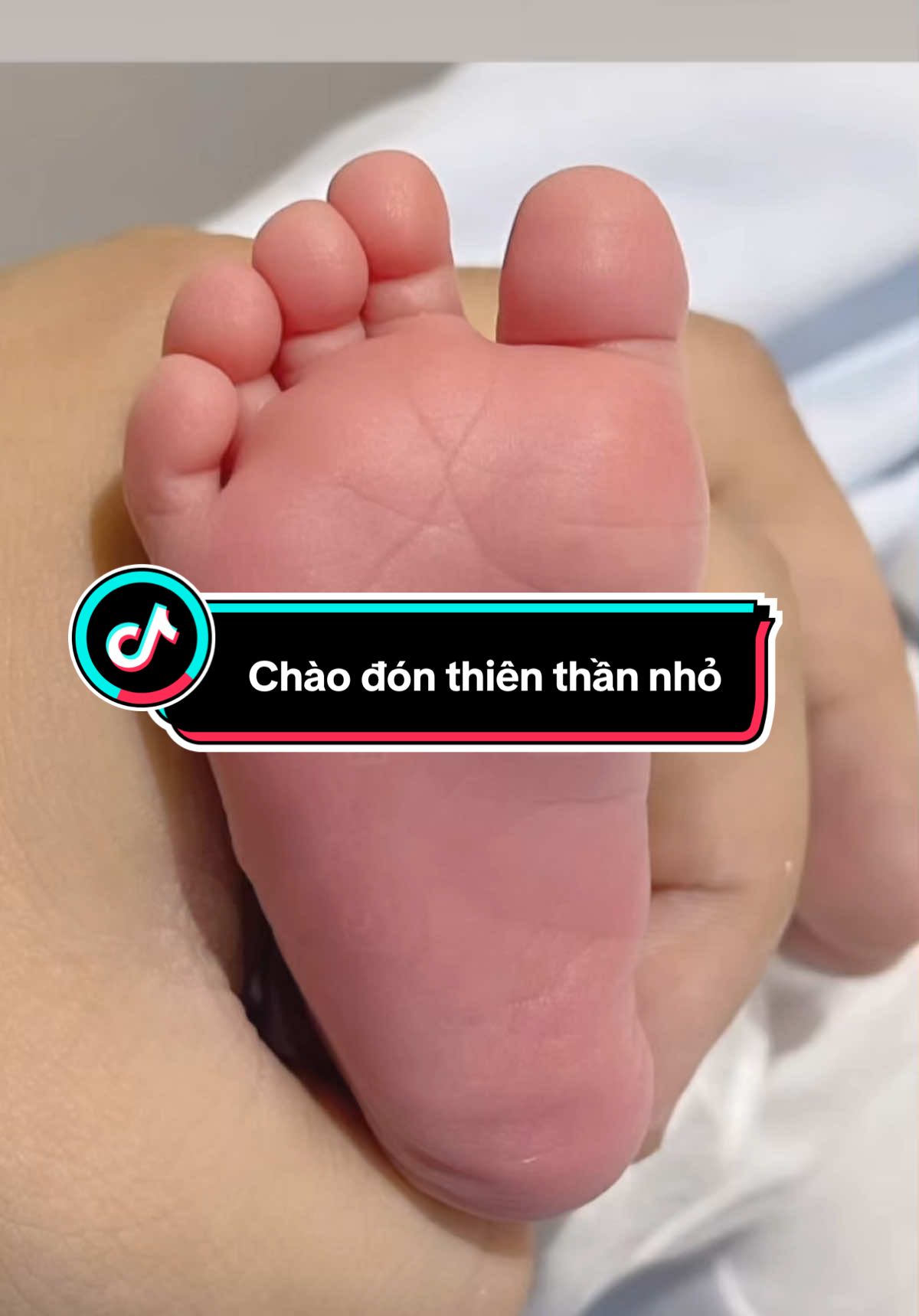 Thiên thần của bố mẹ. Bố mẹ và cả gia đình hân hoan chào đón con đến với thế giới này. Chúc con một đời an nhiên, luôn khoẻ mạnh. Cả nhà yêu con ❤️👦🥰#embedangyeu #embecuame #tinhyeu #2025 