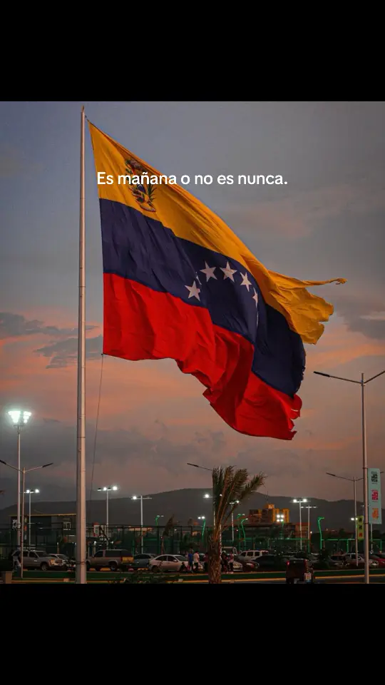 #venezuela #edmundogonzalez #mariacorinamachado #10deenero #libertad 