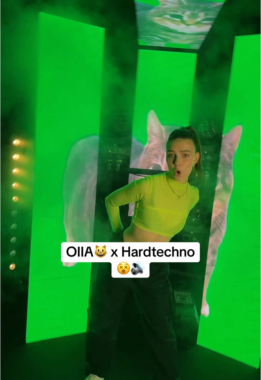 Wie findet ihr diese Kombi?😻🔥 #oiia #memestiktok #remix #techno #fyp 