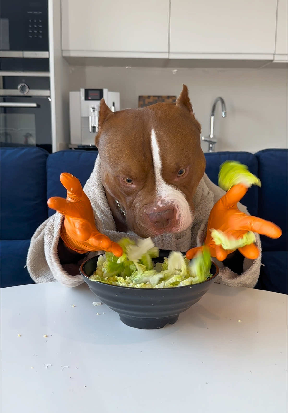 CHOCOLUNCH: Snack after bath 🥗