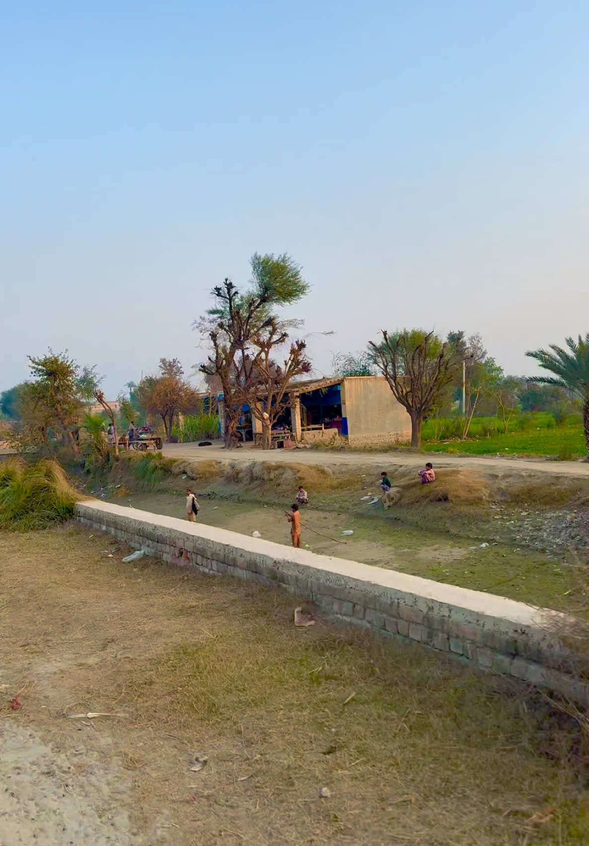 دیسی ماحول #villagelife #punjab