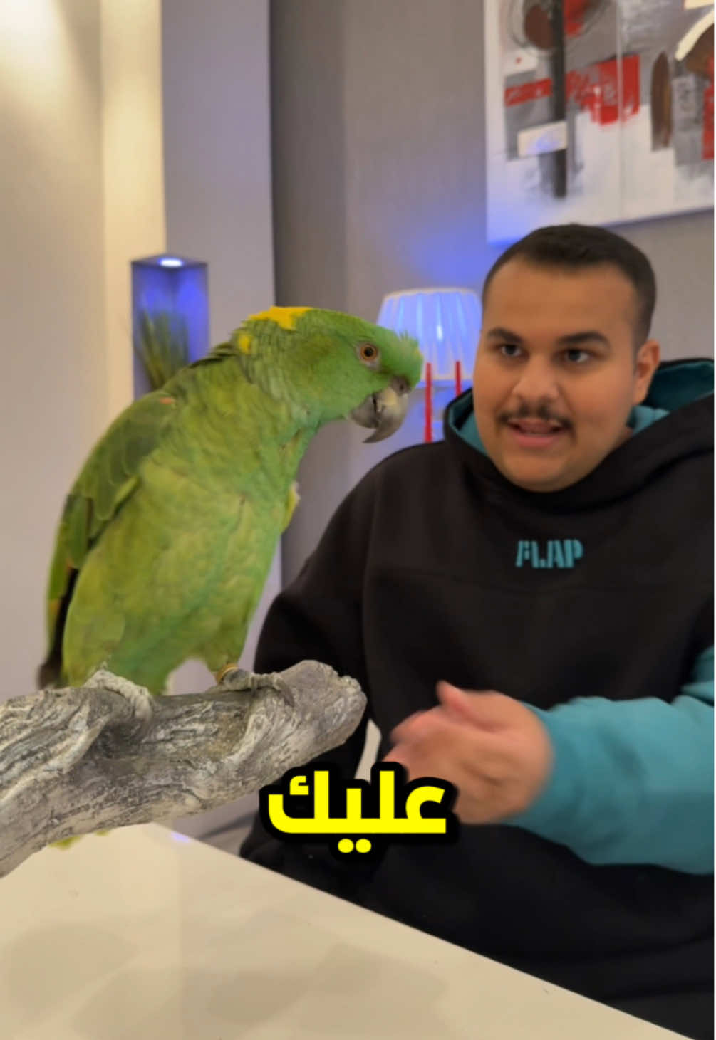 قاعد يحاول يحفظ قرآن ❤️❤️🦜 #عز_الخد 