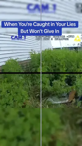 When You're Caught in Your Lies But Won't Give In #cops #copsoftiktok 