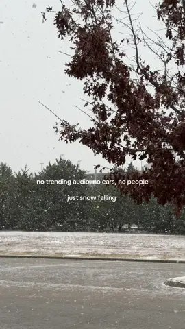 this is lowkey very relaxing and I could listen to this all day ❄️ #snow #snowday #fyp #texassnow #fyp #notrendingaudio 