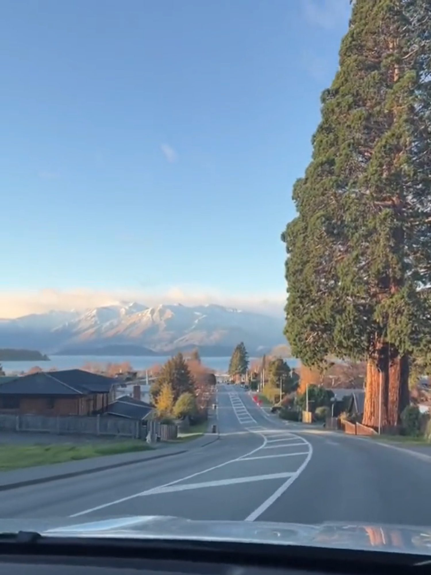 Nueva Zelanda es conocida como el país sin mosquitos. #NewZealand  #fyp #hermoso #naturaleza
