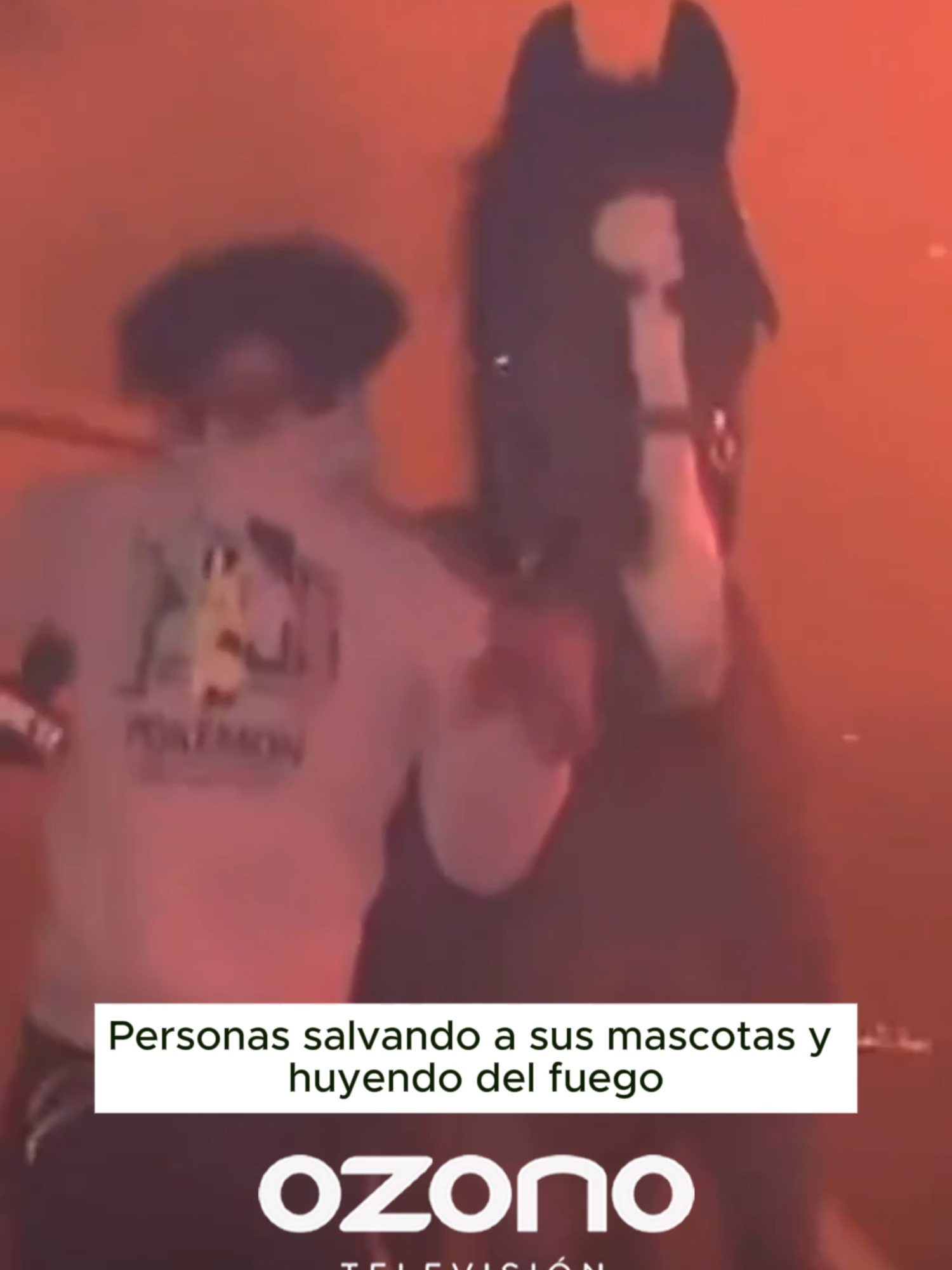 Se viven momentos de miedo e incertidumbre mientras familias enteras huyen del fuego y el humo tóxico. Hay carros abandonados, personas en la calle transportando a sus mascotas y casas perdidas arrasadas por las llamas. #california#ozonotelevision #LOÚLTIMO #noticia #ozono #trujillo #peru #viral #lima #incendio