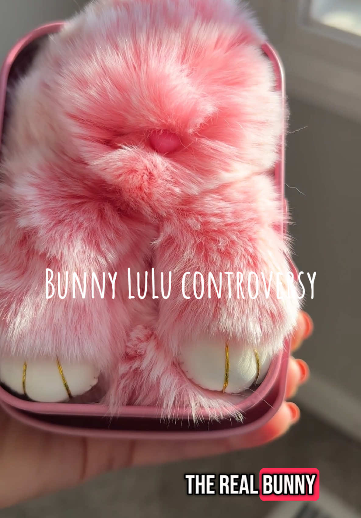 Bunny Lulu controversy in my house 🙅‍♀️ #creatorsearchinsights #bunnylulu #bunnylulukeychain #bunnylulucharm #newyearnewaura #giftsforkids #giftsforher #valentinesdaygift #soft 