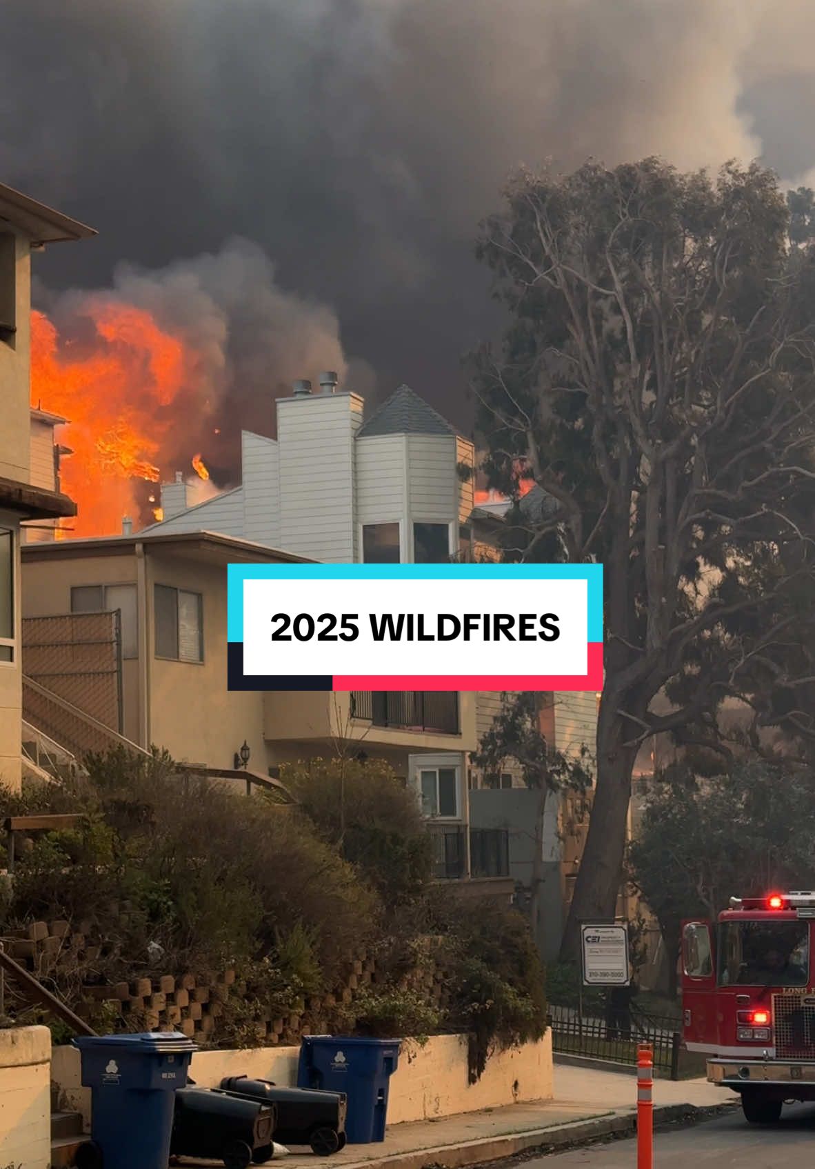 2025 Wildfires in Pacific Palisades, CA. Please pray for California. We are hurting.