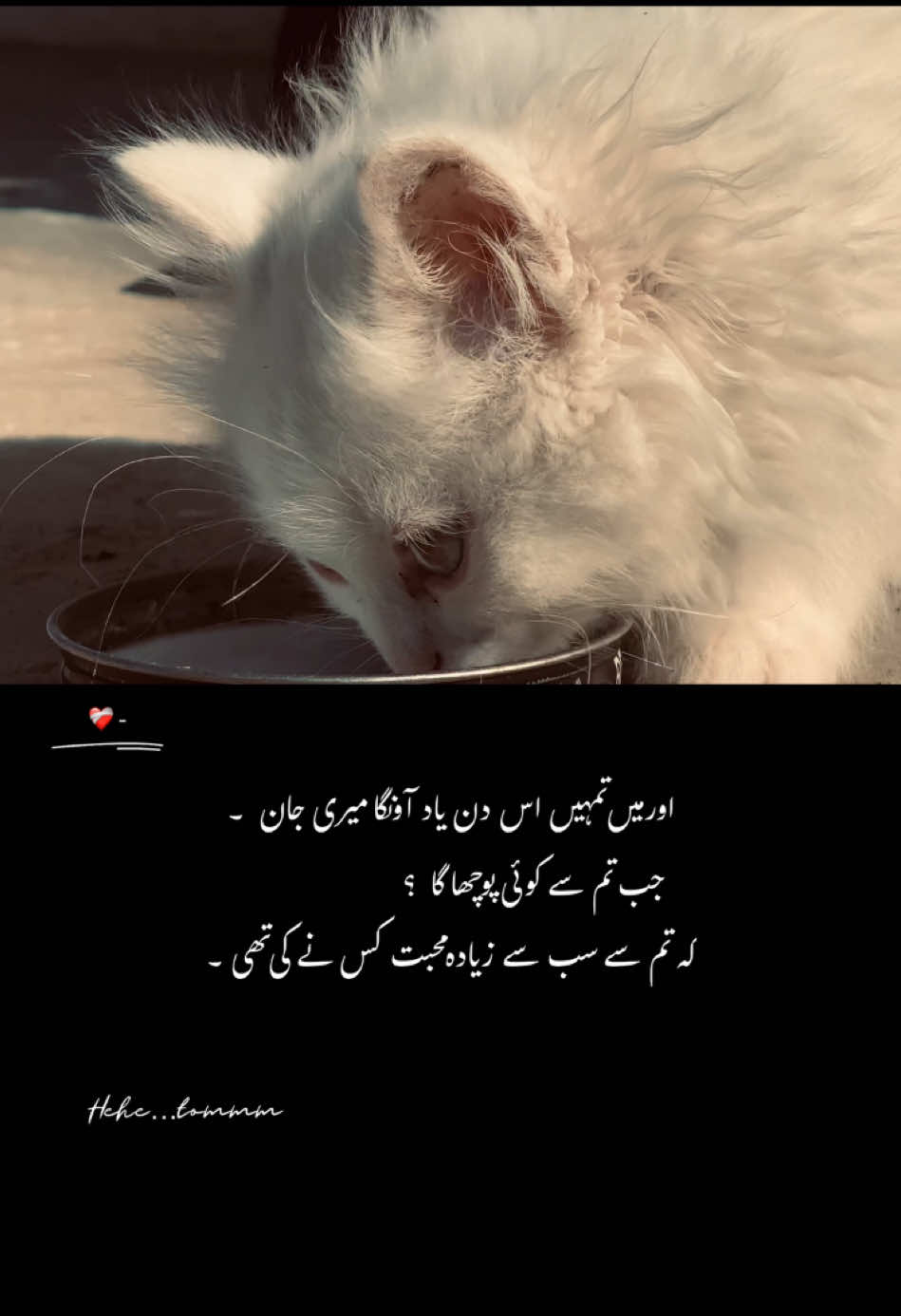 𝐫𝐞𝐩𝐎𝐬𝐭 🫶🏻   - #foryou #foryoupage #fypシ #fypppppppppppppp #sadshyari #urdu #sad #ahsamjaved 