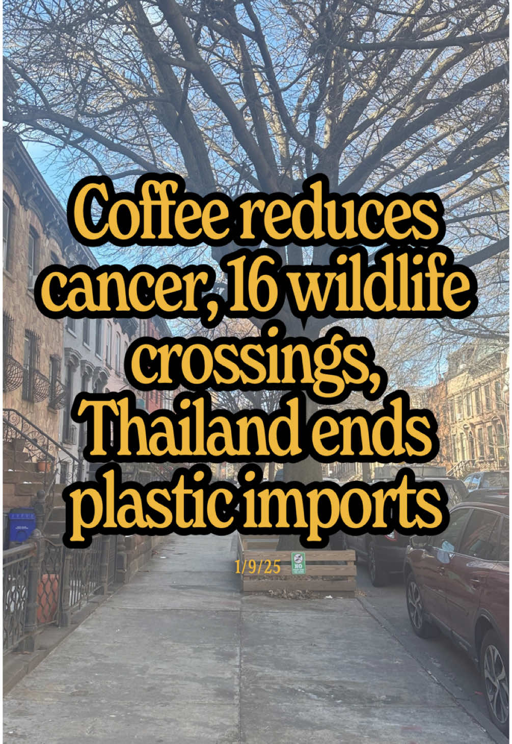 Your caffeine addiction is kinda a good thing, 16 big wildlife crossings are being built, Thailand will no longer import plastic waste, Wil is throwing seed balls into unused land…  How are you making the planet better?