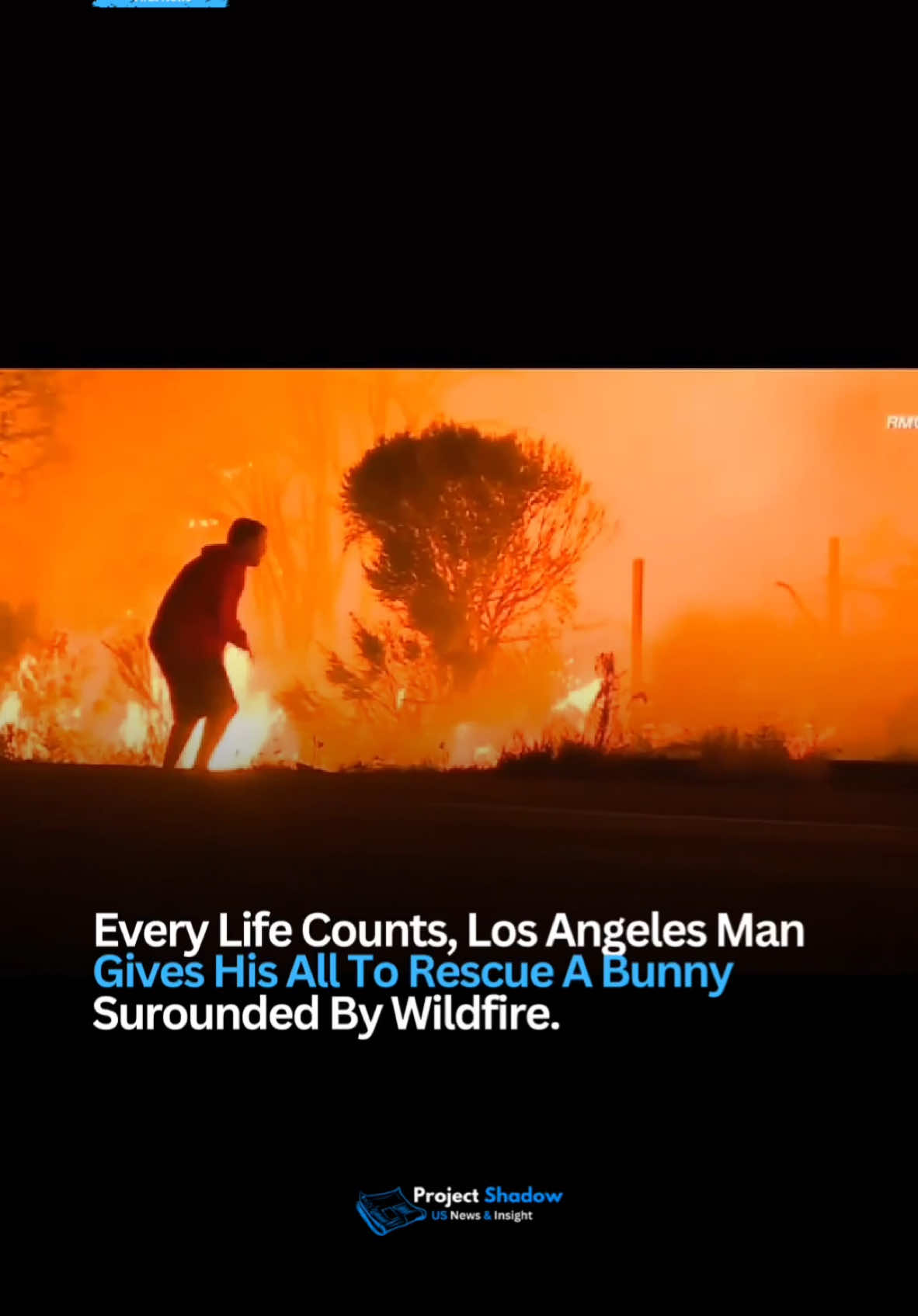 Every life counts. Watch This Man Risk it all to rescue the bunny. 🐰Humanity! Clip Via  goodnews_movement  #palisade #california #losangeles #wildfire