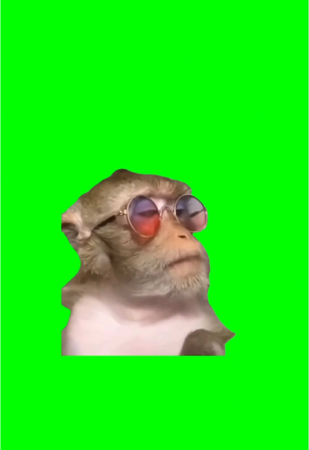 #CapCut COOL😎MONKEY. #greenscreen #greenscreenvideo #greenscreenoverlays #fyp #fypシ #fyppage #fypシ❤️💞❤️ #meme #memes #memestagram #freefirememe #memepage #viral #viralvideos #viralreels #viralvideo #viralpost #sillybaloo #trend #trendy #trending #trendingreels #baloosilly #trendingtiktok #trendy #viralmeme #viralgoals #coolmonkey 