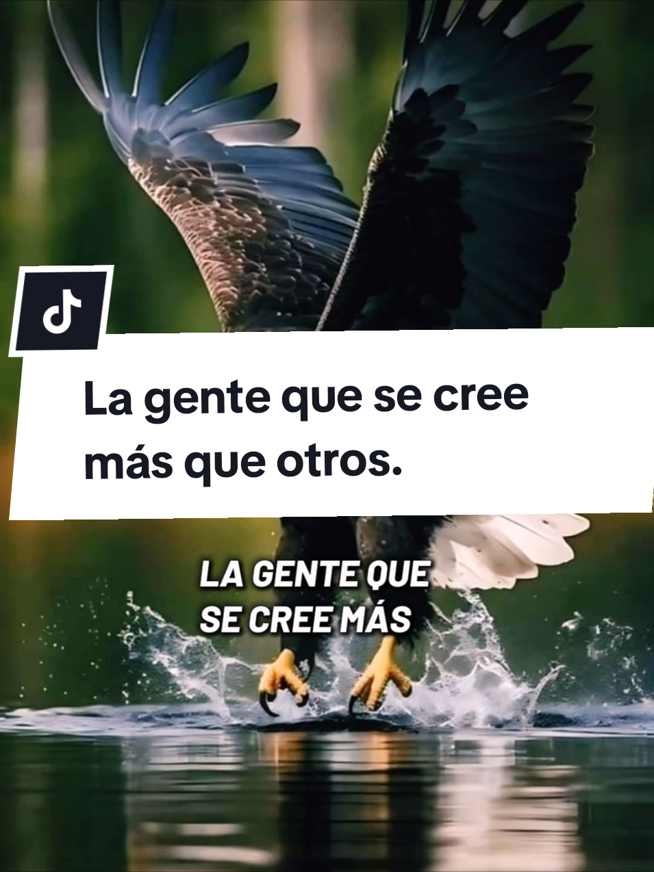 La gente que se cree más que otros.. #motivacion #tucaminoalexito77 