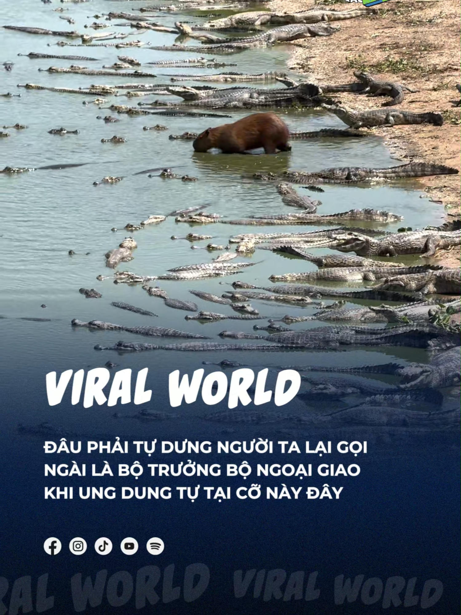 Bộ trưởng bộ ngoại giao nó khác bọt thật =))) #beatviralworld #beatnetwork #bnetwork #beatvn #beatoflife