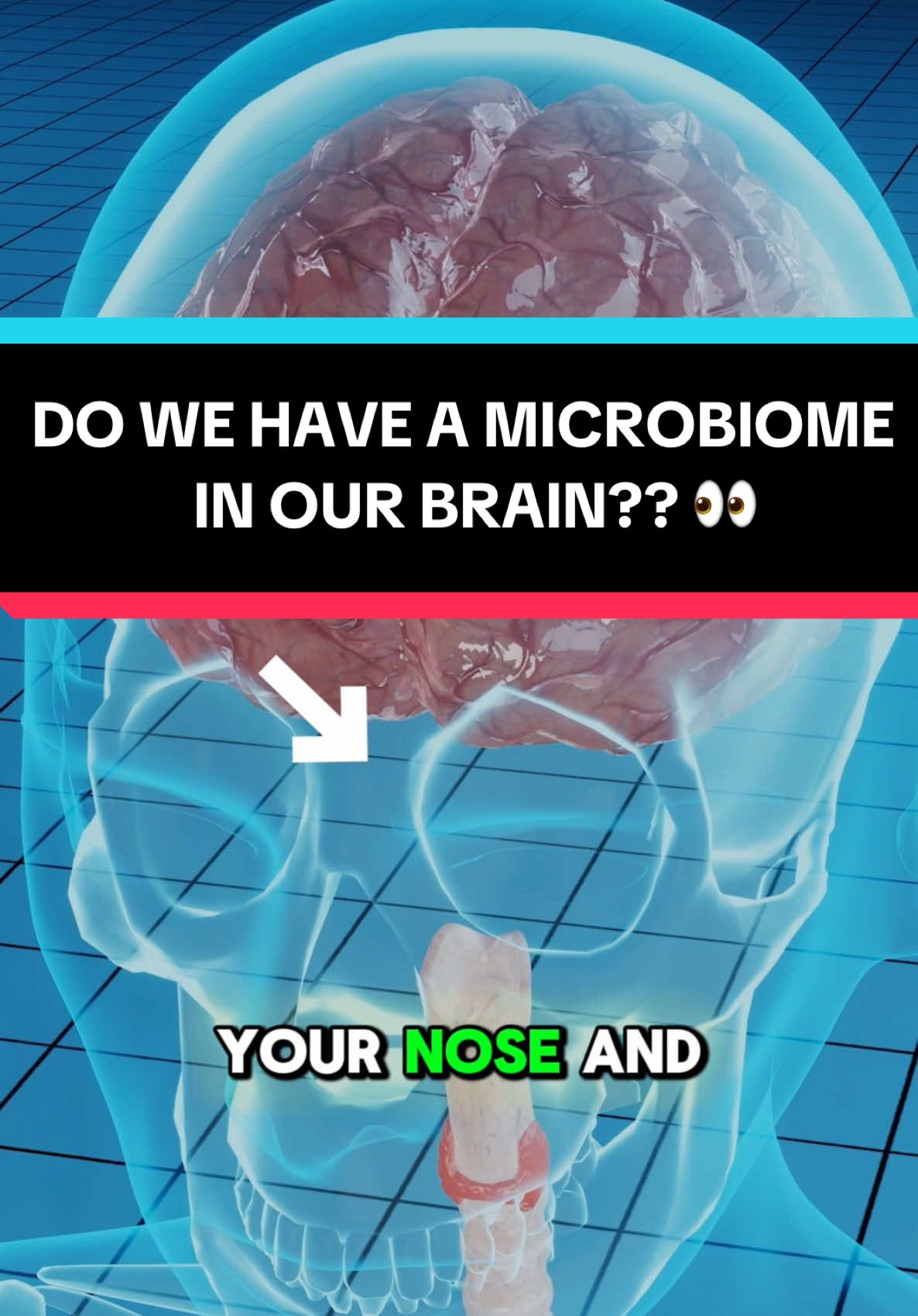 This could change science in a BIG way & would honestly explain so much  #science #neuroscience #stem #neurology #brain #brainrot #microbiome #guthealth #gutbrainconnection 