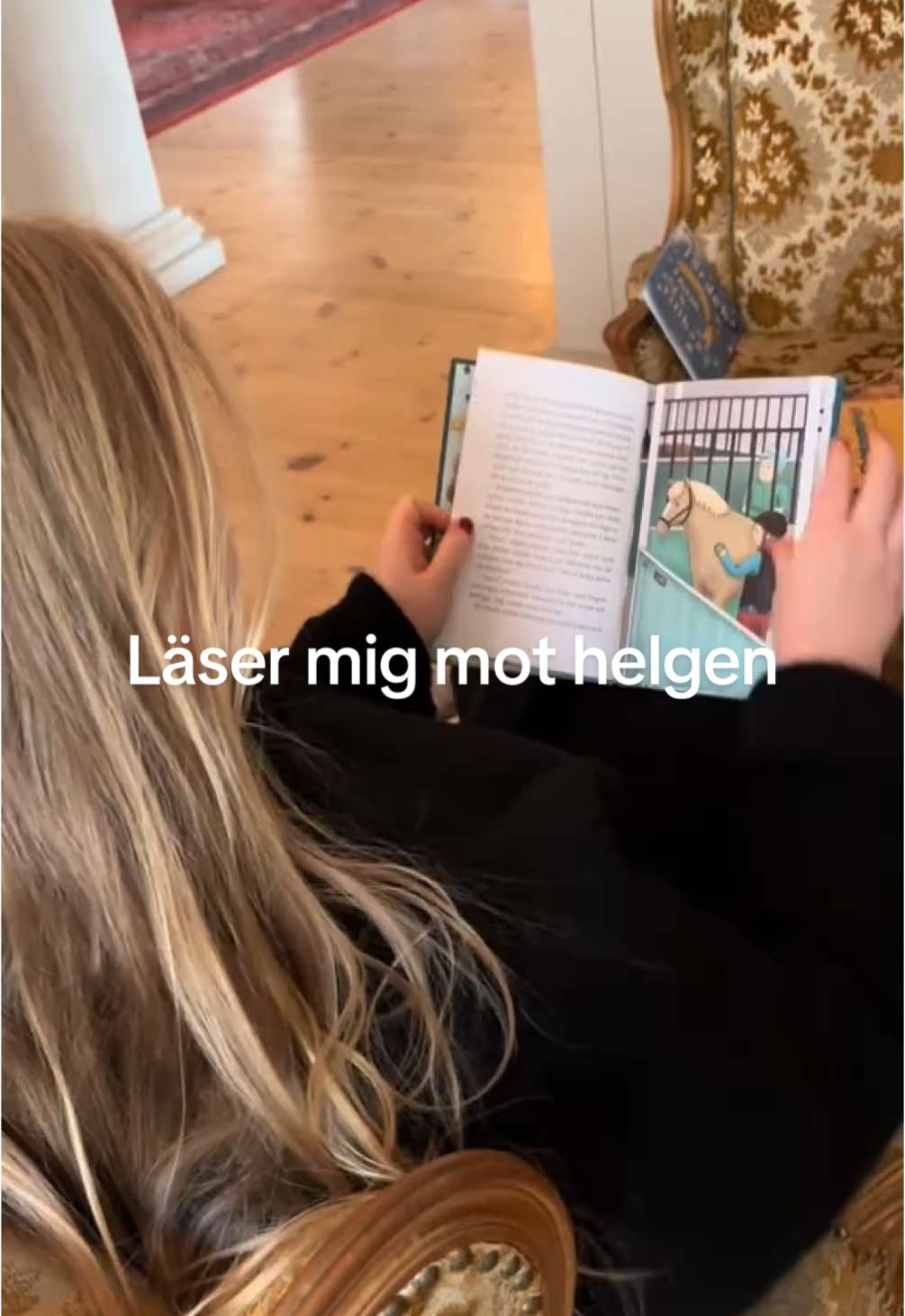 Läser mig mot helgen📖 🤎⏳🦔 Vad läser du just nu? #boktok #BookTok #författare #authorsofbooktok #author #booktoksverige #bookgirlies #writersoftiktok #writertok #bookgirl #teamwork 