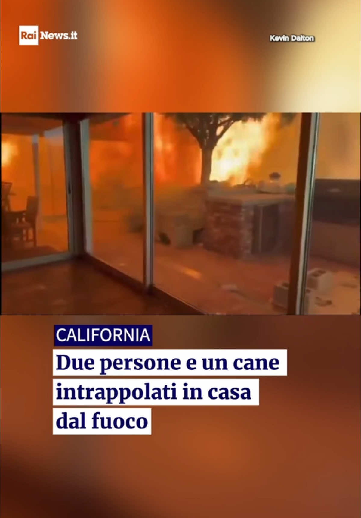 Questo è uno dei video più scioccanti effettuati durante l'incendio di Los Angeles. Un uomo sta filmando enormi muri di fuoco che circondano la casa in cui si trova, con lui c'è un'altra persona e un cane. I due non sanno cosa fare, ma l'uomo che fa il video dimostra una notevole freddezza: “Andrà tutto bene” sembra dire al cane e poi chiede all'altro uomo se il gas fosse chiuso e gli dice: “Non aprire finestre, non aprire niente!