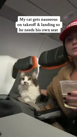 It’s cruel to keep the animals under the seat if you know they are going to throw up. #flying #travel #traveltiktok #airplane #catsoftiktok #cat #kitten 