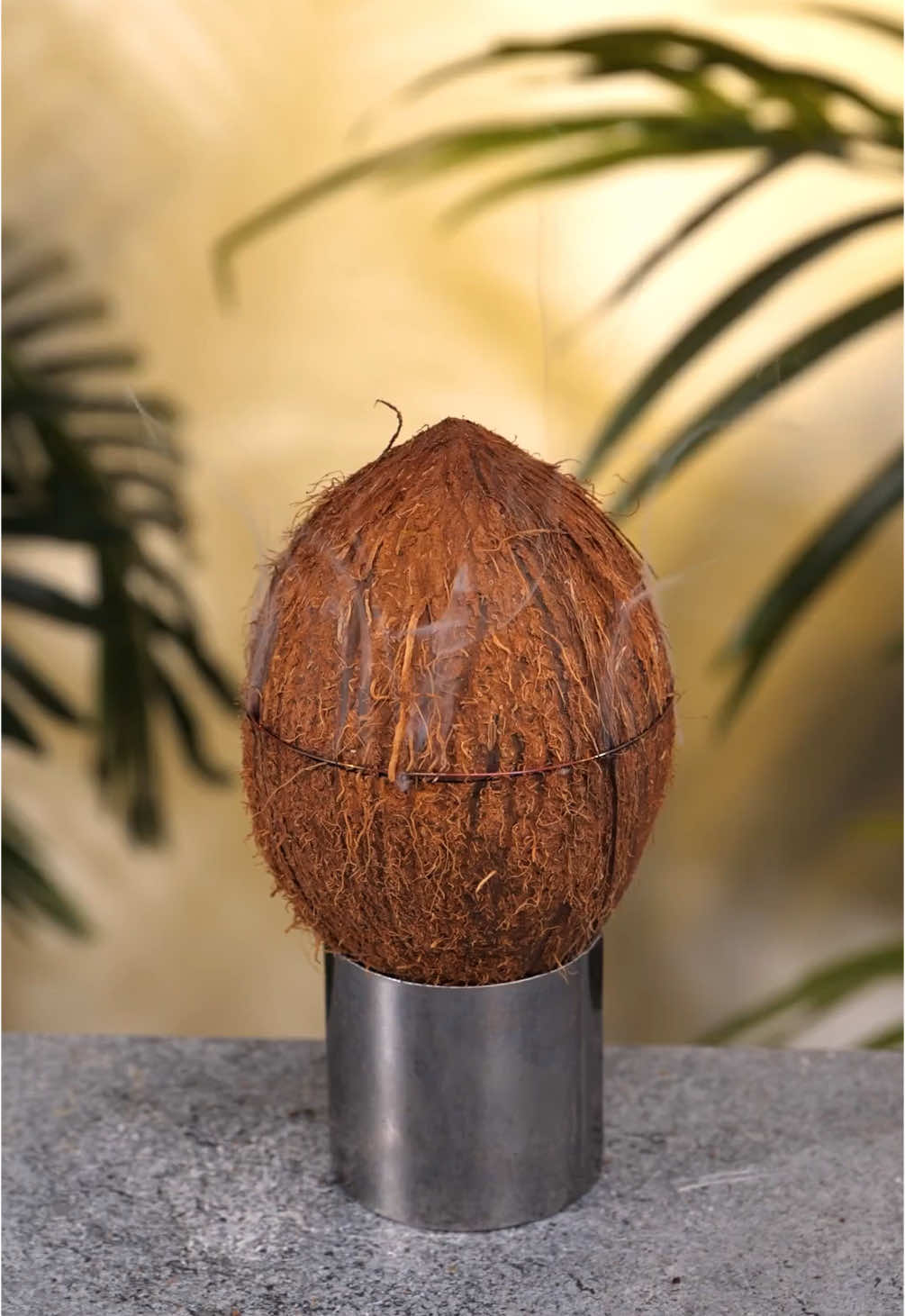 Unleash your inner musician and make a DIY Guitar from a Coconut Shell🥥 #coconut #music #guitar #DIY #creative #fyp