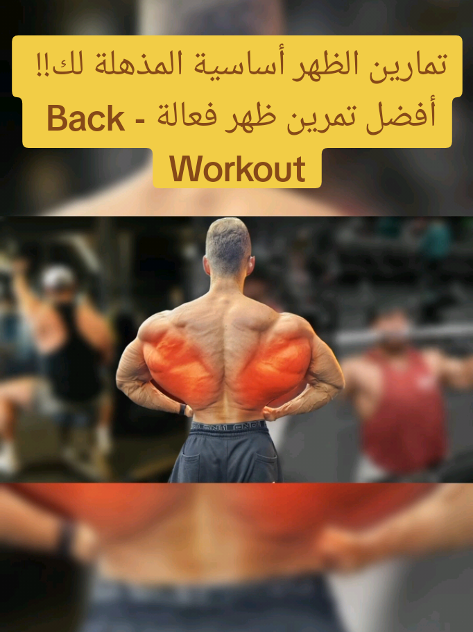 تمارين الظهر أساسية المذهلة لك!! أفضل تمرين ظهر فعالة - Back Workout تمرين الظهر,تمارين الظهر,اسرار تكبير وتقوية عضلات الظهر,افضل تمارين لتوسيع الظهر,الظهر كمال الاجسام,تمارين الظهر العلوية,تمرين أساسية تعريض الظهر,تمارين الظهر بالدمبل,الظهر الخارجي;الظهر العلوي,back workout #backworkout​ #backexercises #back #تمرينة_ظهر #تمرينه_ضهر #تمارين_الظهر #تمارين_رياضية #جيم #كمال_الاجسام #تمرين #bodybuilding #Fitness #gym #Active_gym 